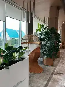 Звезда моря - 70