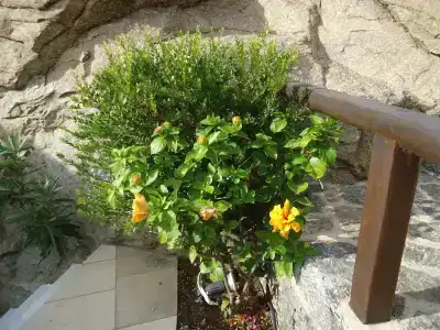 Nama Villas - 24