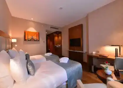 Clarion Istanbul Mahmutbey - 92