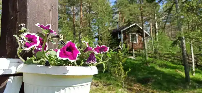 Дом на Центральной 2 - 41