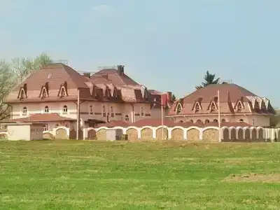 Милославский - 8