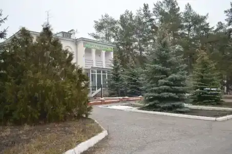 Лесная поляна - 38