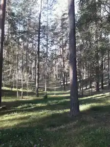 Звёздный - 57