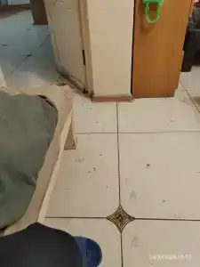 Светлана - 20