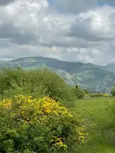 Уркарах - 6
