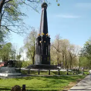 Борок - 24