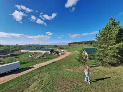 Конная эстетика - 3