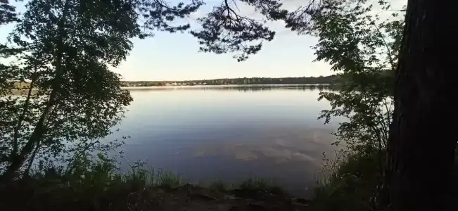 Снетковское Озеро - 36