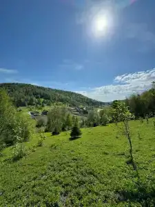 Берег Сарвы - 17