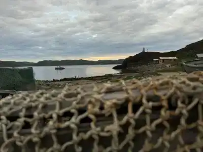 Cedar Grass Териберка - 72