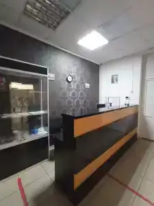 Пионер - 1