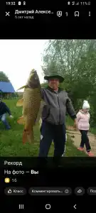 Голден Фиш - 13