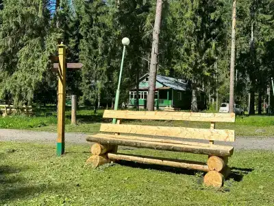 Сосновый берег - 52