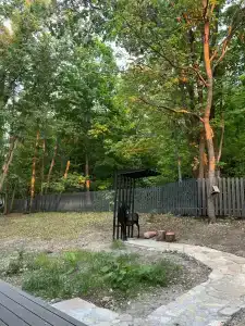 В Лес Афрейм - 11