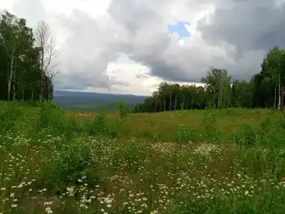 Берлога - 3