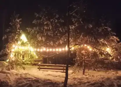 Хвойный парк - 26