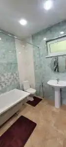Горный кедр - 31