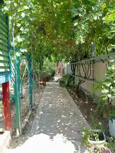 Можжевеловый дворик - 4