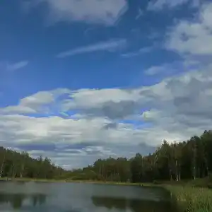 Долгий лог - 22