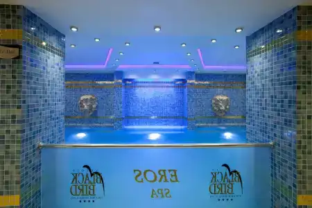 Black Bird Thermal & Spa - 55