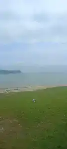 Зелёная полянка - 45