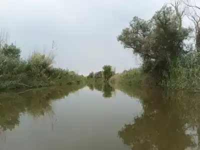 Цветок Лотоса - 22