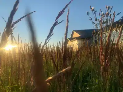 Живые Родники - 41