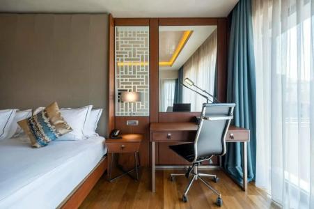Clarion Golden Horn - 21