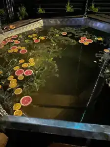 Фестиваль-Парк - 98