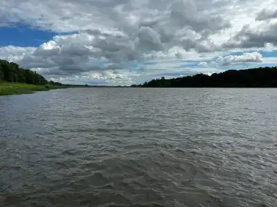 Пчелинцево - 99