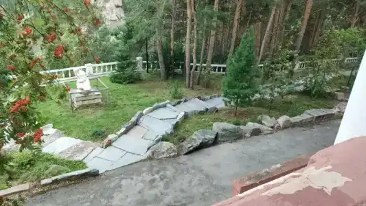 Сосновый бор - 60