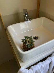 Bloomrooms @ Link Road - 7