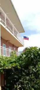 Янис - 48