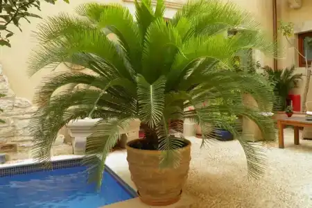 Palazzino Di Corina - 34