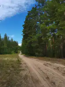 Фламинго - 12
