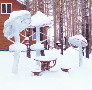 Иволга - 28