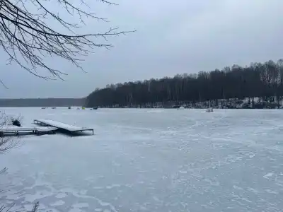 Веселый Роджер - 40