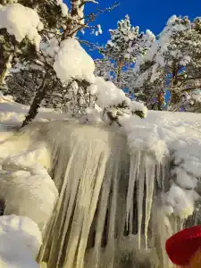 Sky Wood Hills - 28
