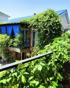 Лунный Бриз - 25