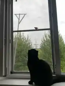 На Вазузу - 28