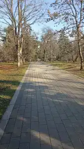 Ленинград - 37