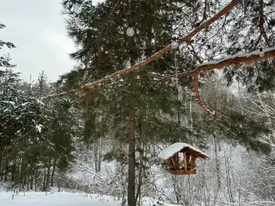 Комфорт Хаус - 42