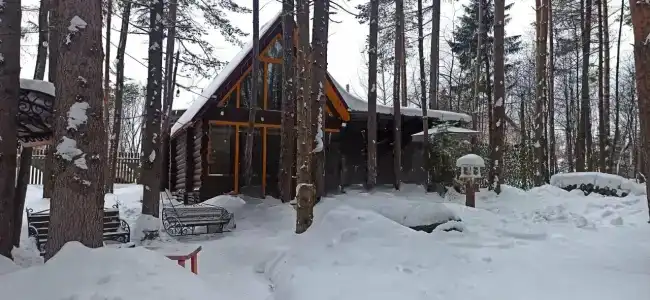 СмородинаХаус - 60