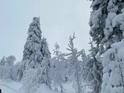 Турбаза Ослянка - 13