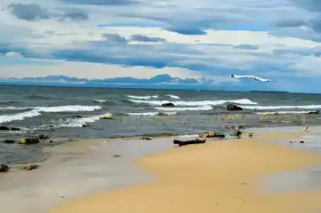 Усадьба Добрыня - 9