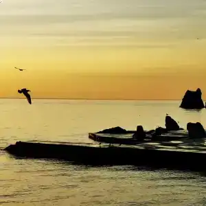 Санта Барбара корпус 2 - 9
