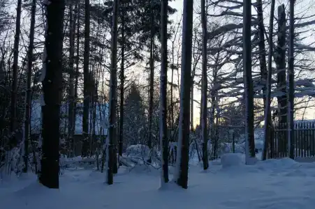 СмородинаХаус - 72