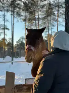 Гостевой дом - 32