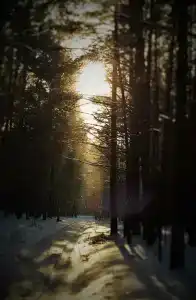 Садху - 9