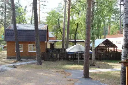 Жемчужина леса - 6